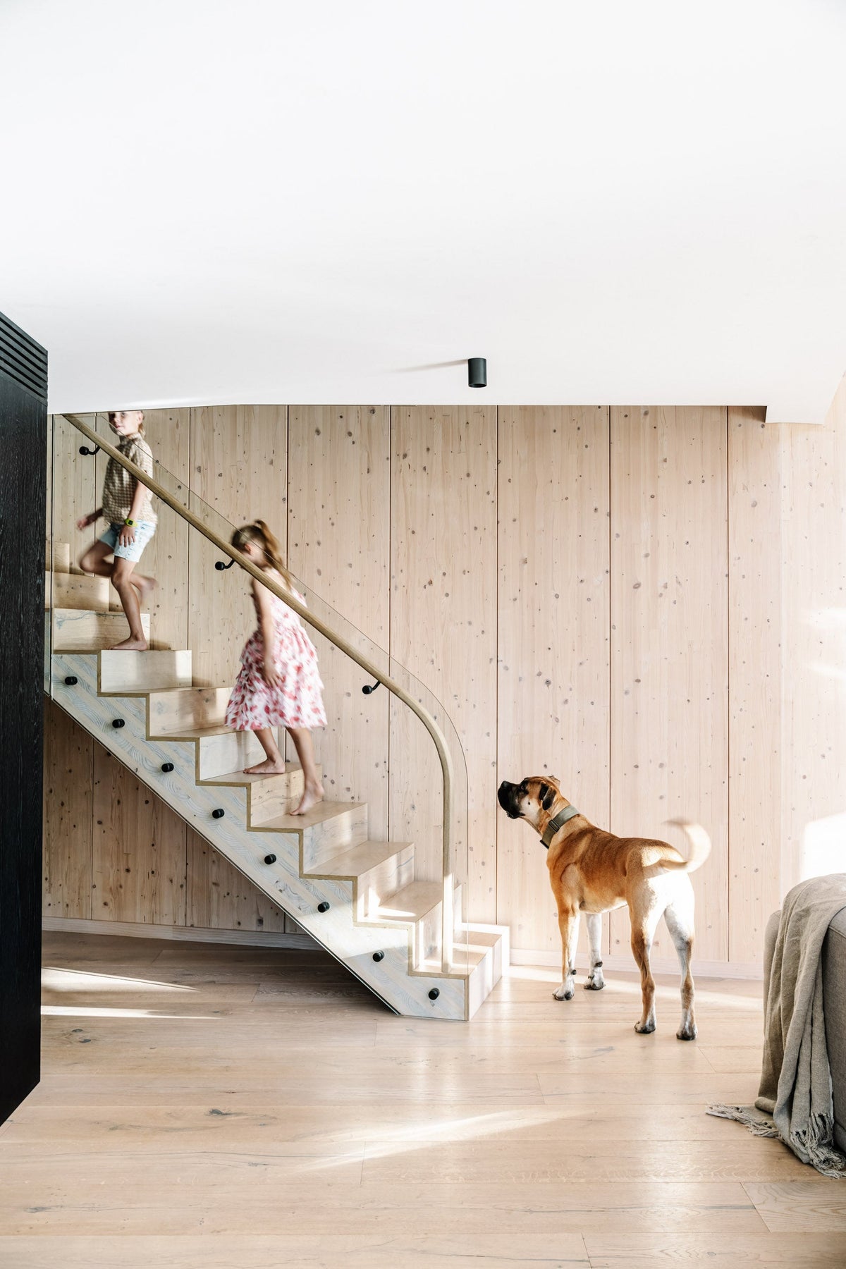 The Panel House